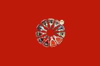 八宿县回收红酒
